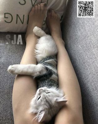 酒醉的玫瑰电影免费观看_剧情片日韩电影在线