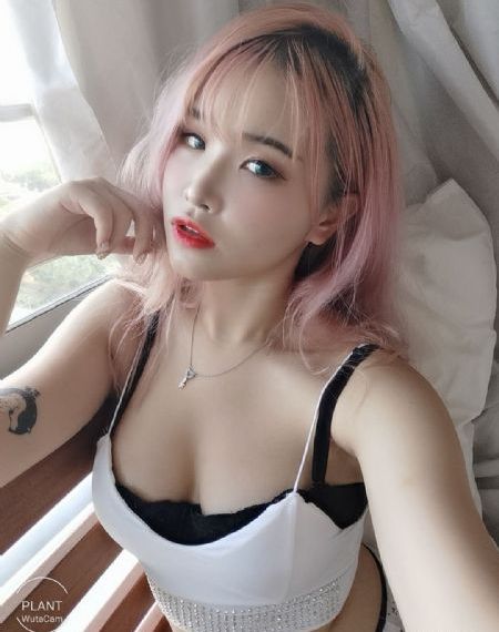 周生如故电视剧免费播放_高清高清在线