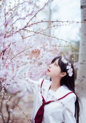又黄又硬的视频_DVD免费观看电视剧